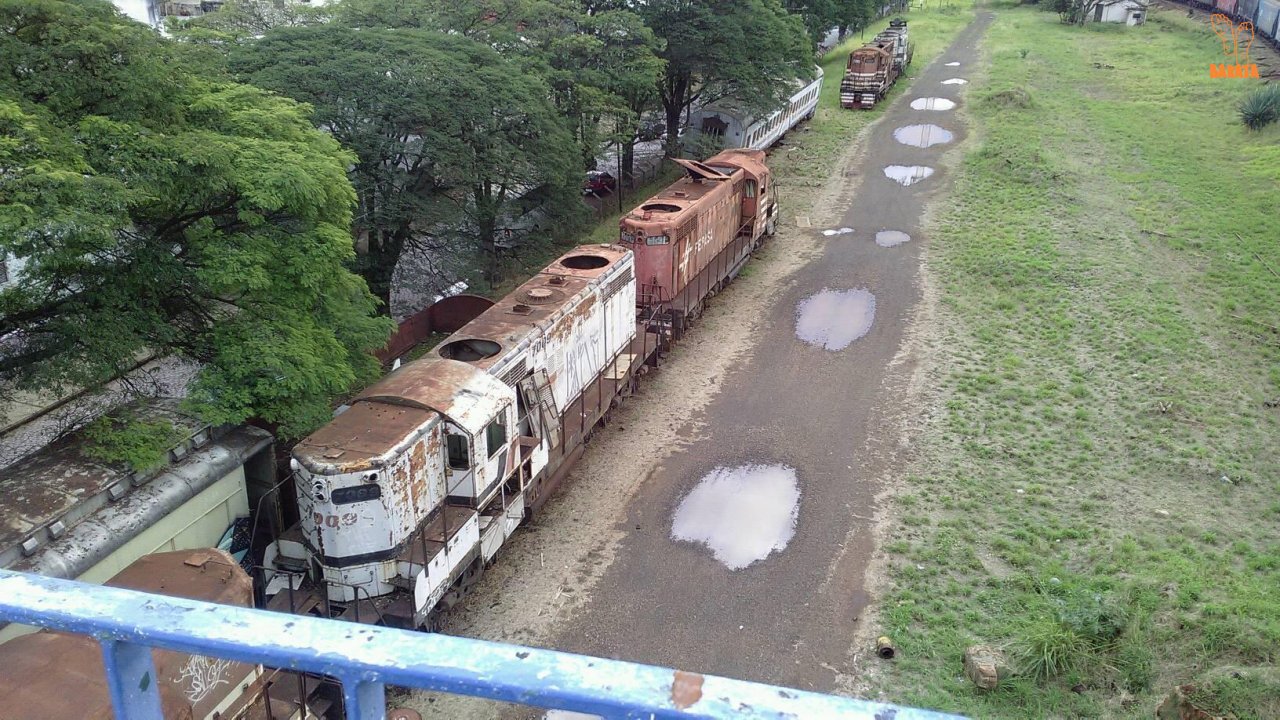 Carcaças de Trens (Foto: Barata)