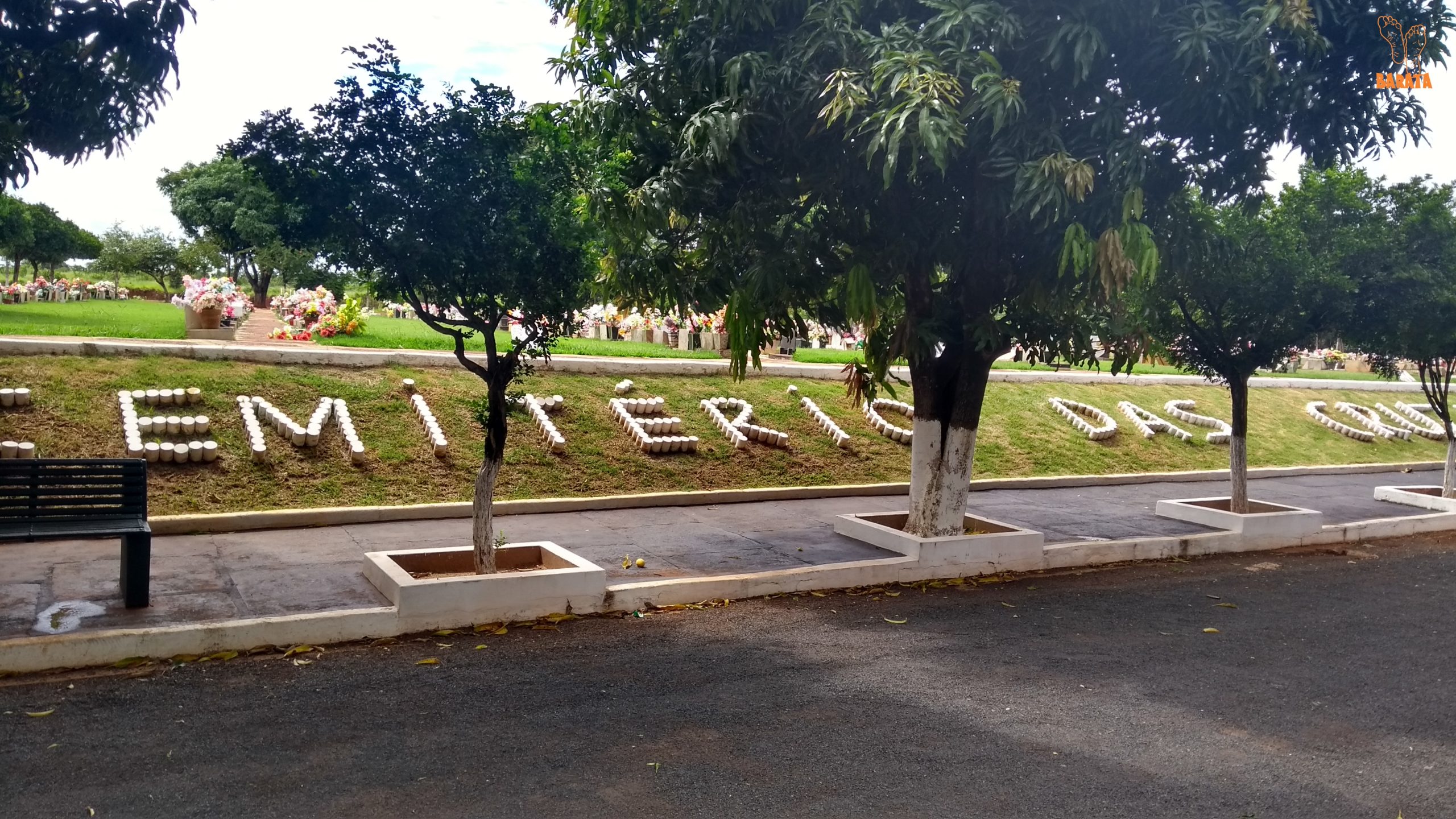 Cemitério dos Britos (Foto: Barata)